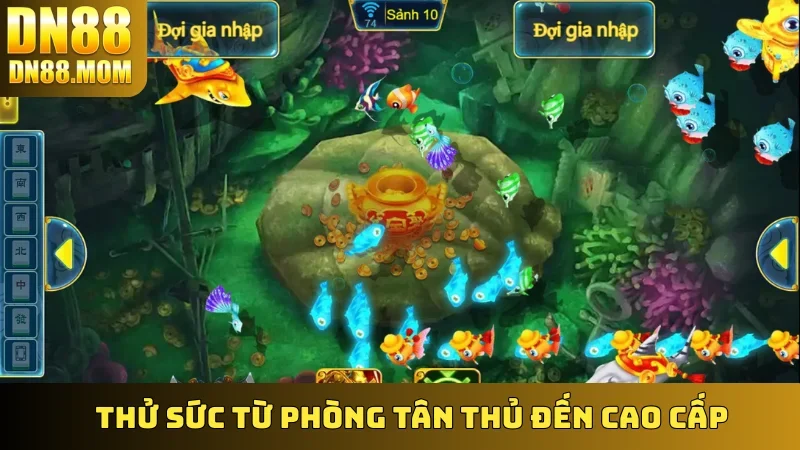 Thử sức từ phòng tân thủ đến cao cấp